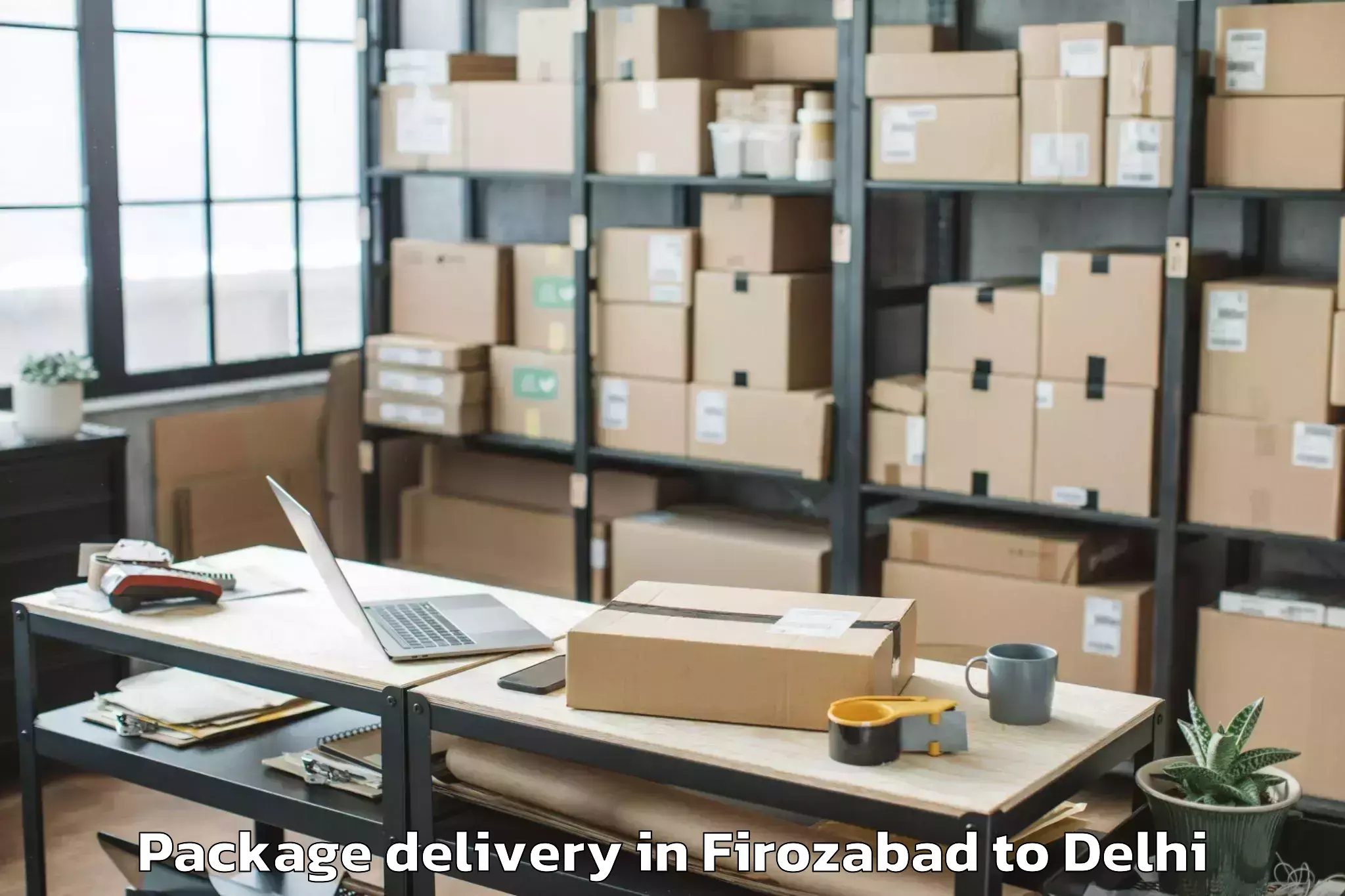 Professional Firozabad to Naraina Industrial Estate Package Delivery